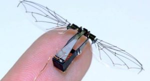 tamaño real del insecto robótico
