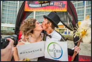 Un Matrimonio infernal: Monsanto bayer