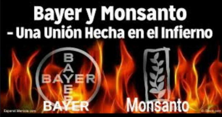 Bayer y Monsanto: una unión hecha en el Infierno