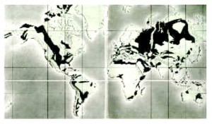 Mapa del mundo con la distribución de petróleo